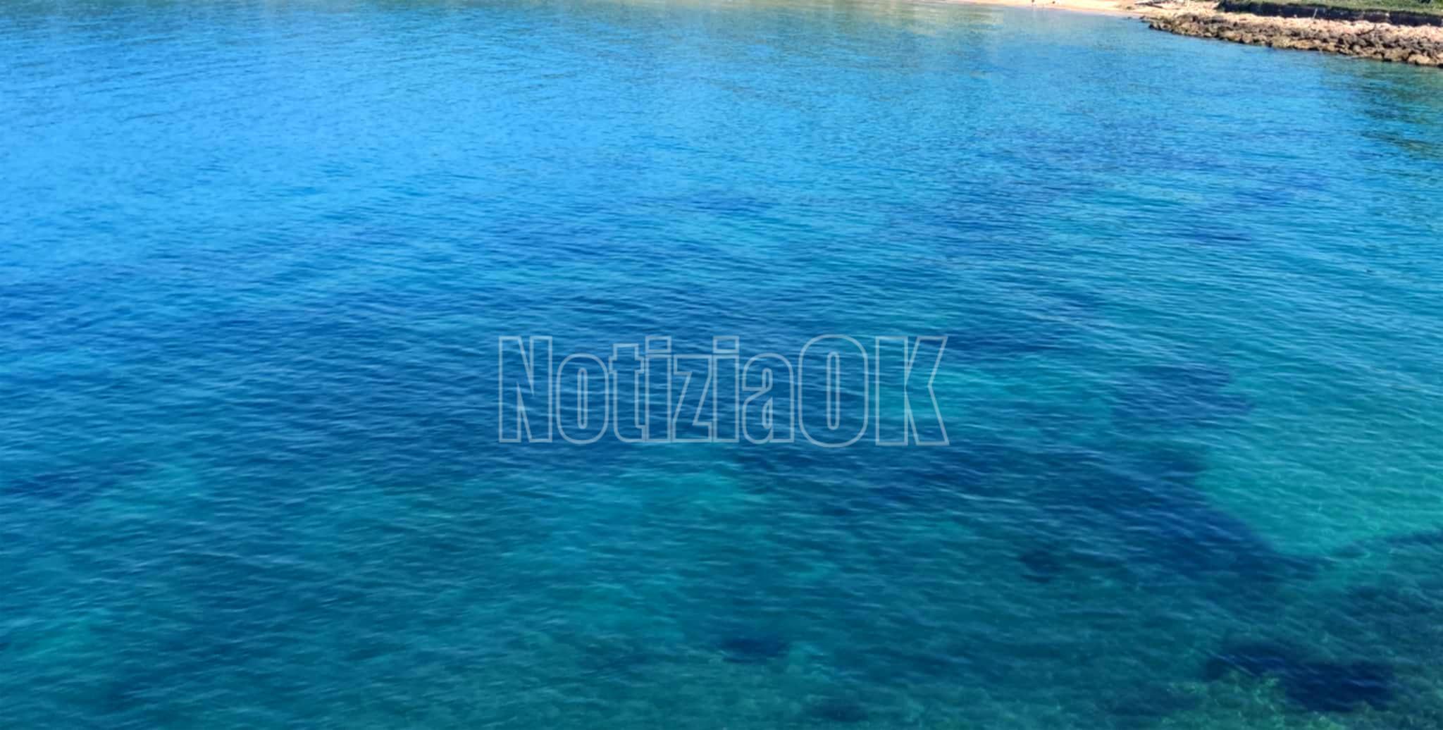 Isola di Capo Rizzuto, 25 luglio 2025: il Comune celebra il World Drowning Prevention Day  - Mare - Redazione