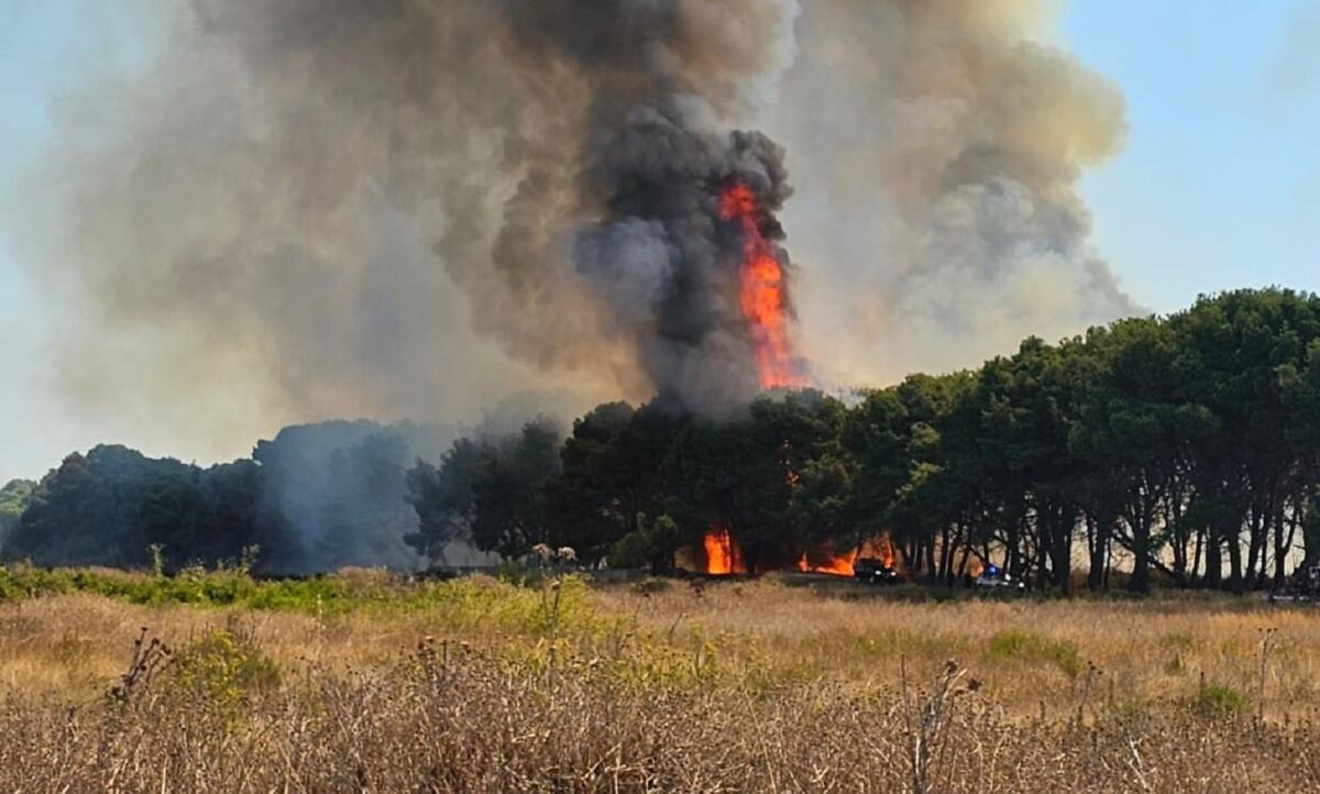 Caldo: sos incendi, raddoppiati i terreni bruciati nel 2025 - 