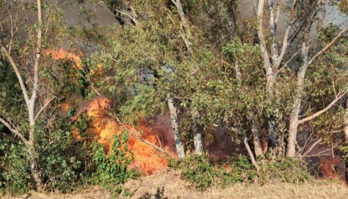 Sei incendi in una sola giornata: l’appello di Isola Ambiente Apnea - 