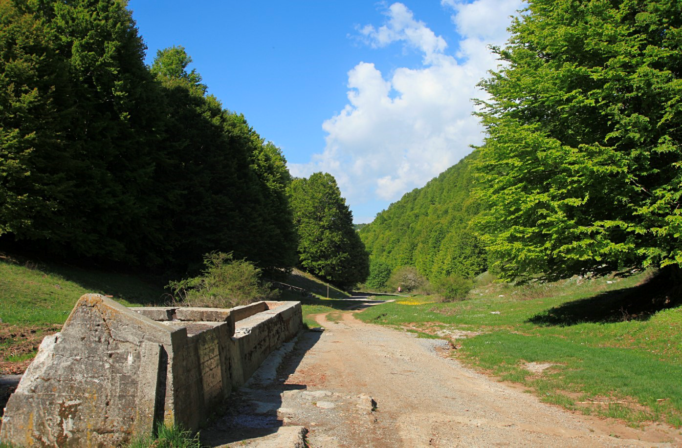 Saracena entra nella Ciclovia dei Parchi: 266 km di percorsi tra natura e turismo lento -