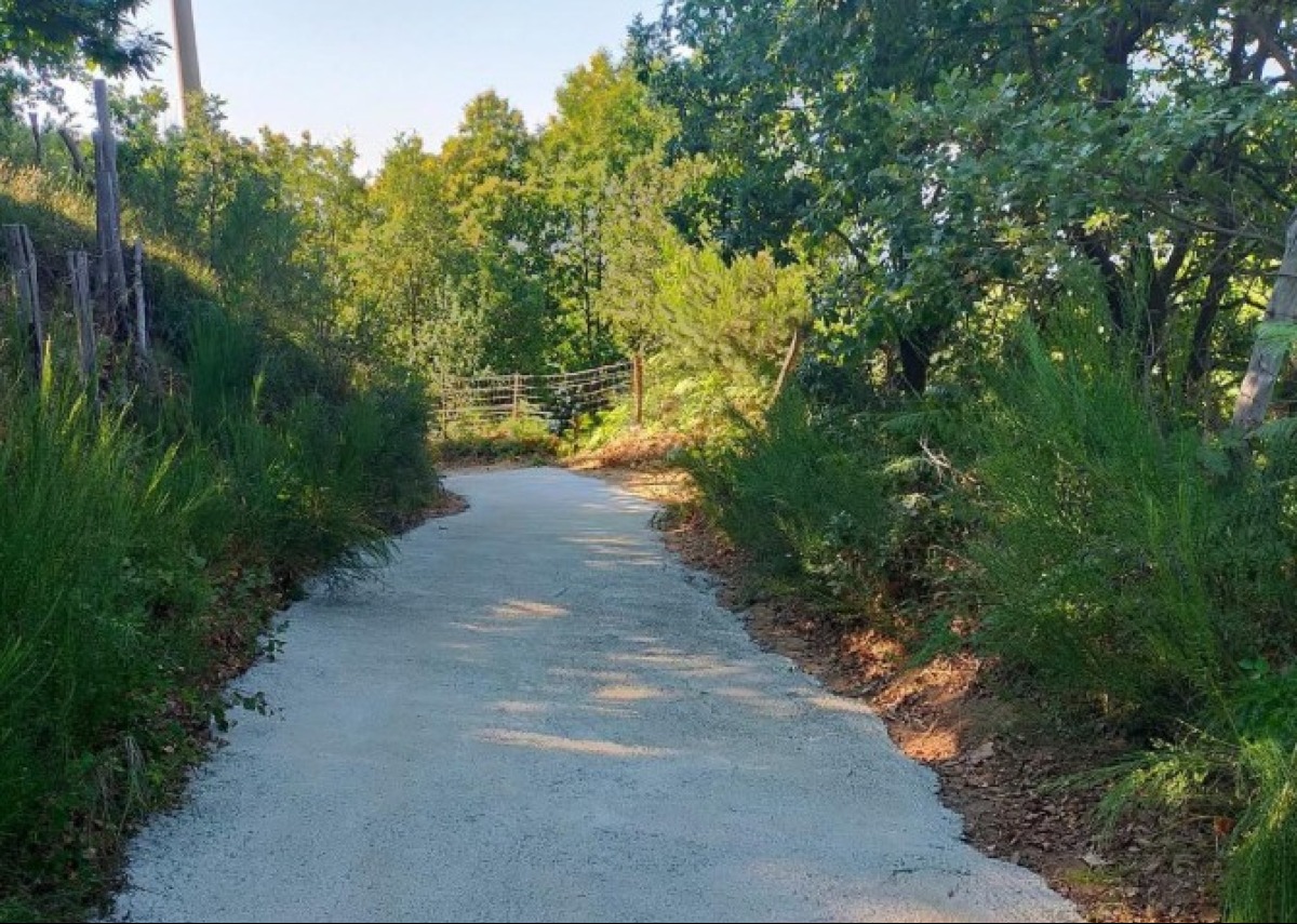 Comune di Sersale: Interventi sulle Strade Interpoderali, progetti futuri in vista - 