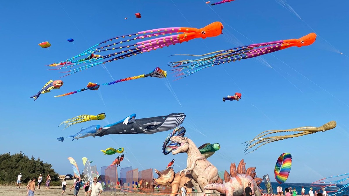 Catanzaro, il Festival degli Aquiloni conquista grandi e piccoli: successo di pubblico e divertimento a Giovino - 