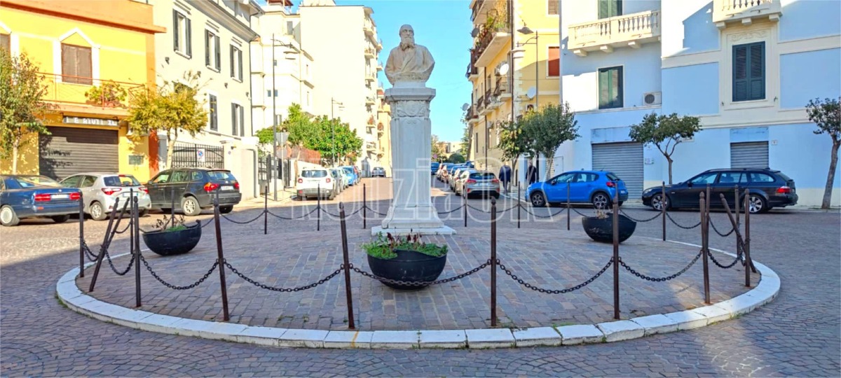 Crotone città "verde": saranno spesi 125 mila euro per nuovi alberi  - 