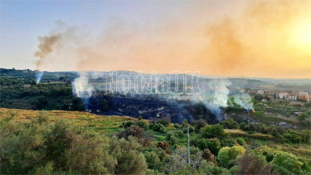 Calabria sotto il caldo torrido dell'anticiclone africano: incendi devastano il territorio - 