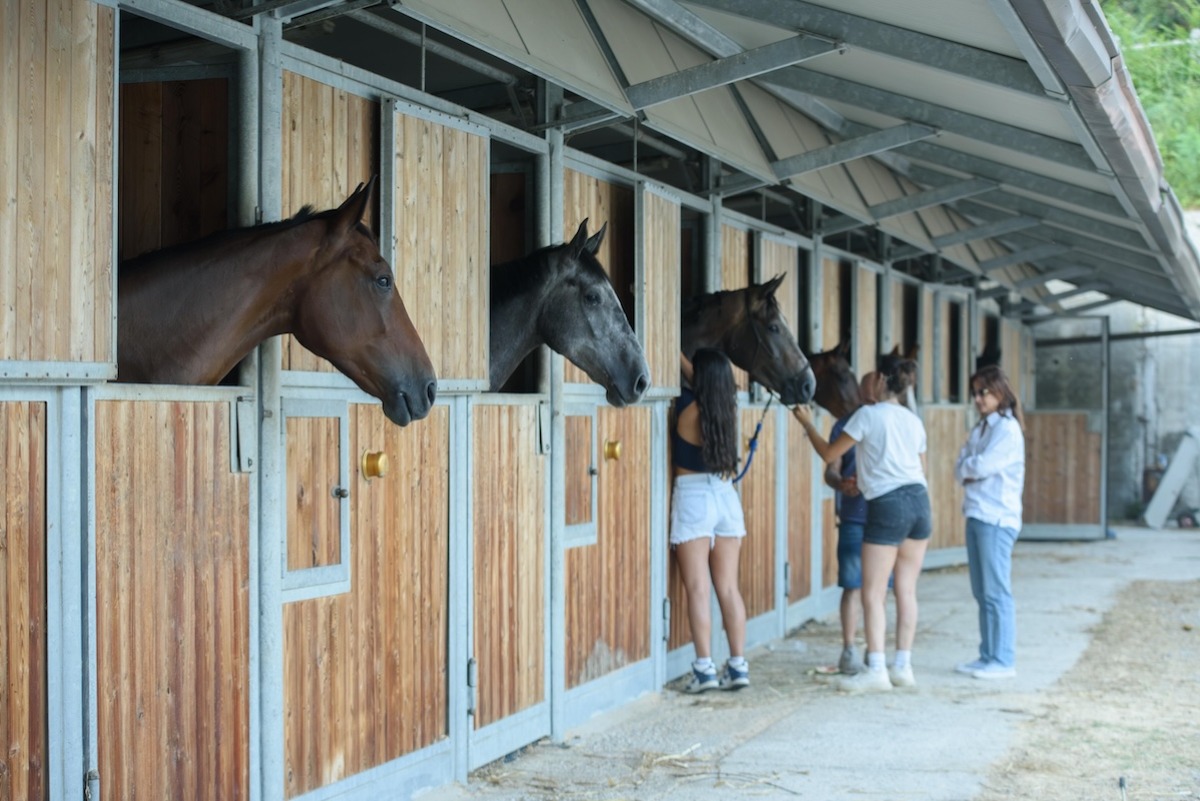  Valle dei Mulini, grande successo per “The Summer Affair” e per il Circuito Allevatoriale Masaf - 