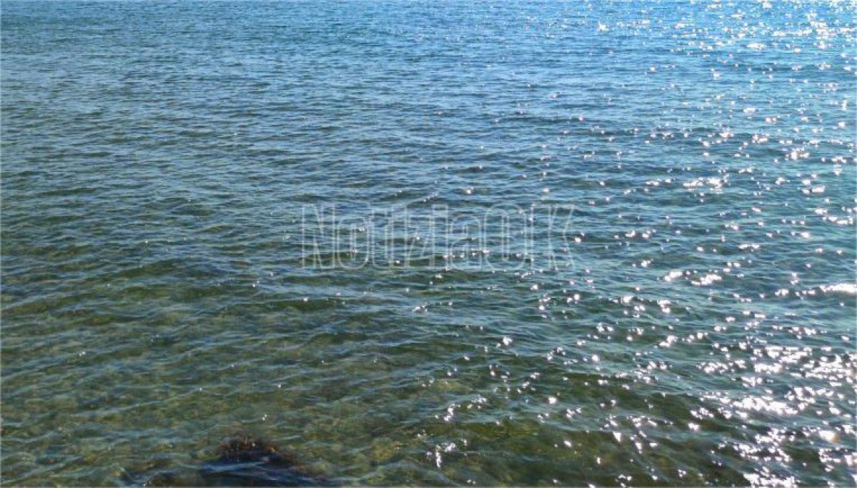 Tragedia sfiorata due bambine travolte dalla corrente del mare, una è grave - 