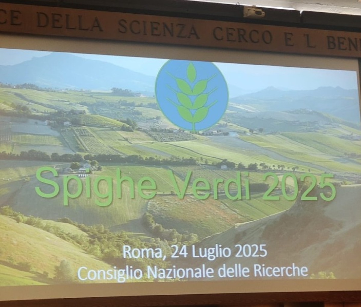 Trebisacce riconfermata tra i Comuni “Spiga Verde” 2025 - 