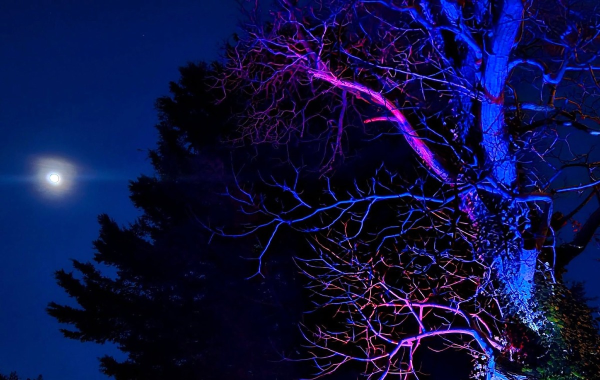 "Le Notti delle Magare 2025" – Un viaggio nell'arte e nel mistero nel Borgo di San Fili - 