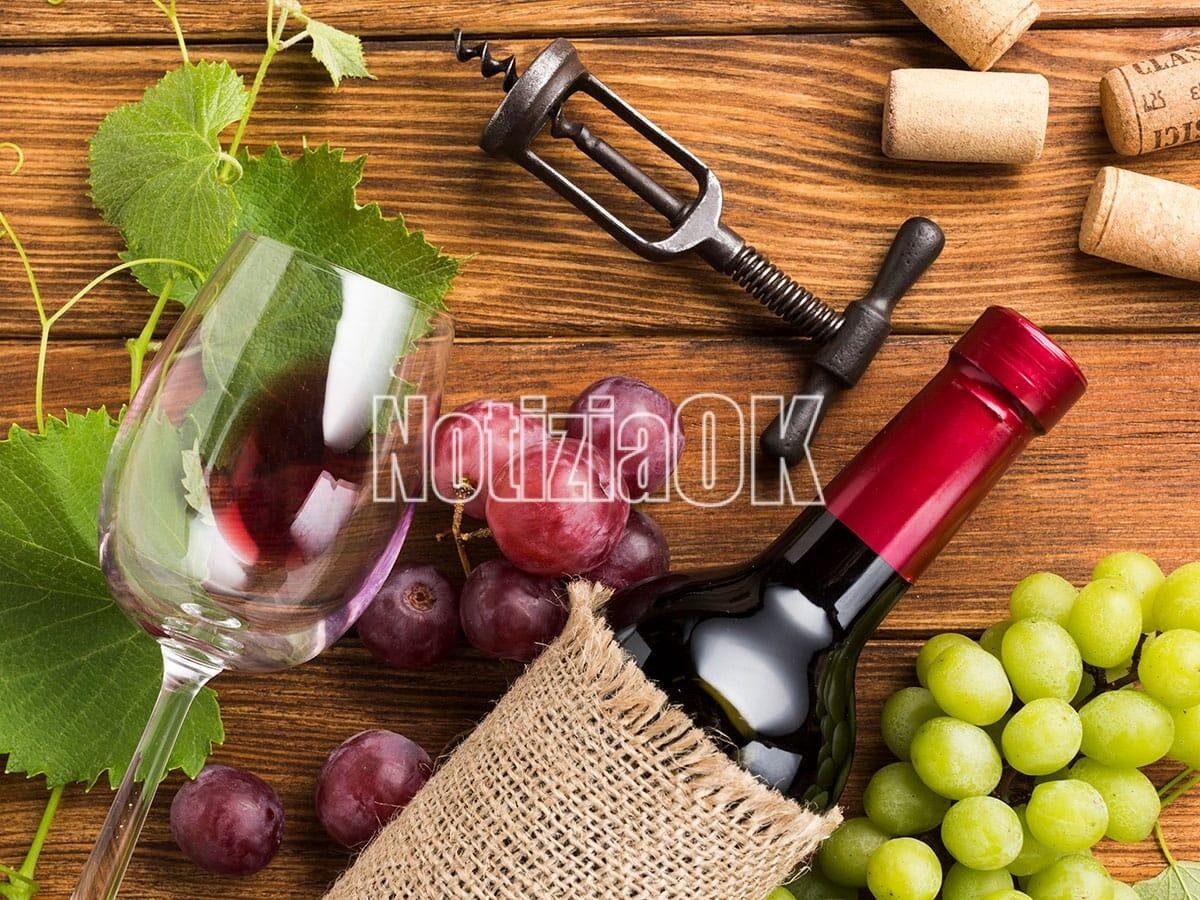 Il Cirò Classico DOP entra nell'olimpo dei vini europei: un riconoscimento storico per la Calabria -