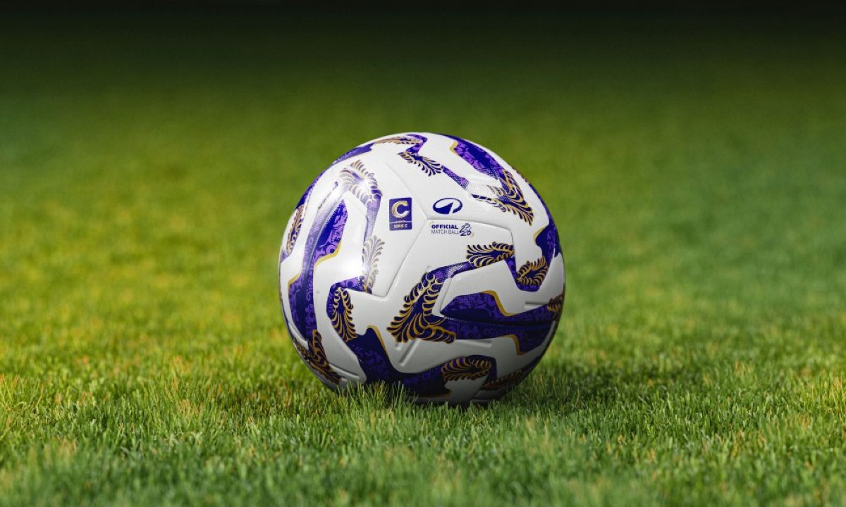 Serie C, svelate le rivali del Cosenza Calcio per la stagione 2025-2026 -