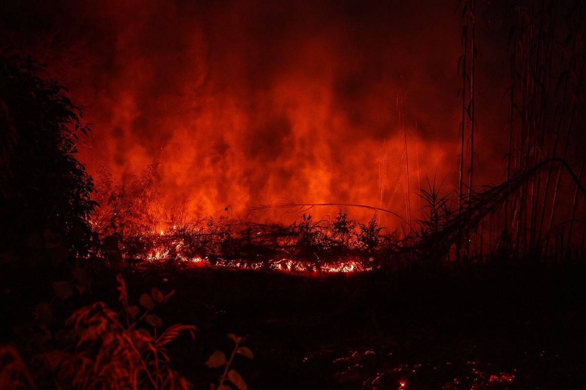 Le fiamme hanno distrutto villaggio turistico a Cirò Marina: ipotesi incendio doloso - 