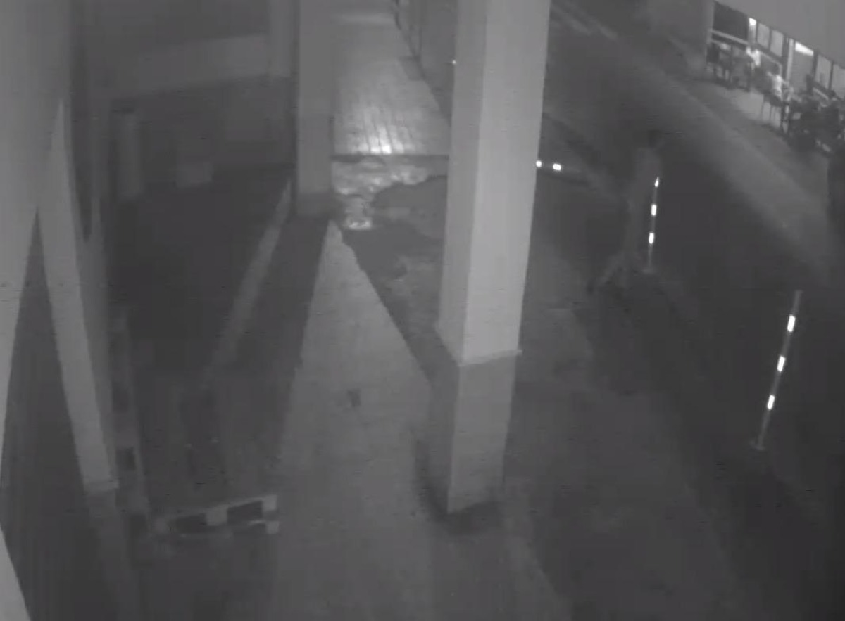 Atti Vandalici a Capo Rizzuto, le telecamere incastrano i colpevoli - 