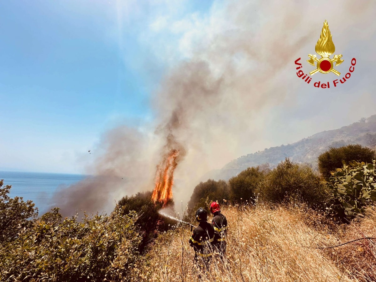 Vibo Valentia nella morsa degli incendi: 50 interventi dei Vigili del Fuoco in 24 ore, evacuazioni in diversi comuni - 