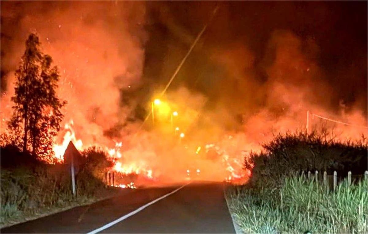 Un muro di fuoco in una notte da incubo: incendio devasta il territorio calabrese - 