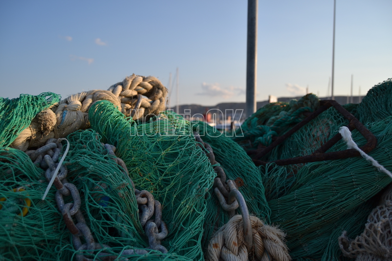 Fermo pesca anticipato: ascoltate le istanze di pescatori e territori -
