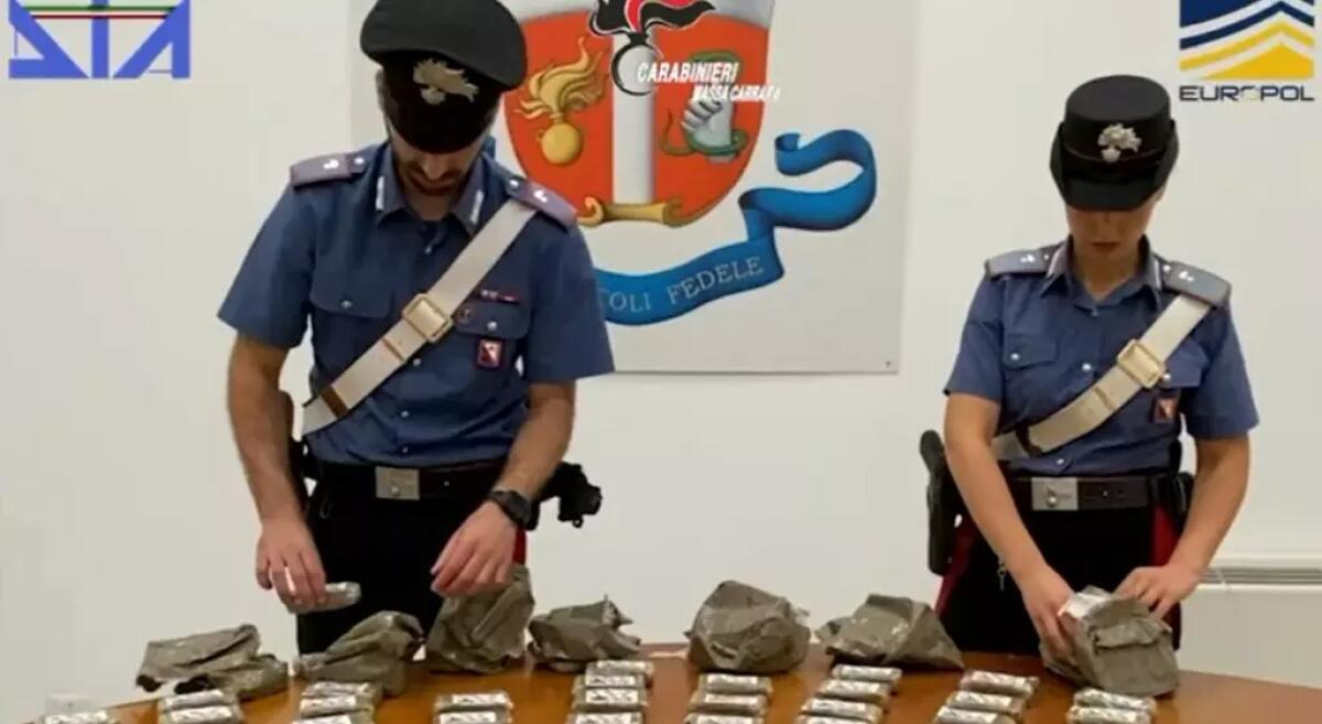 Dia, operazione antidroga in Toscana, Liguria e Lombardia. 13 indagati - 