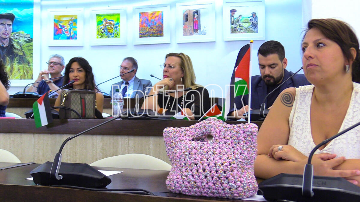 Crotone - Bandiere palestinesi in Aula, una piazza per le donne vittime di femminicidio e un polo oncologico: le ultime decisioni in Consiglio - 