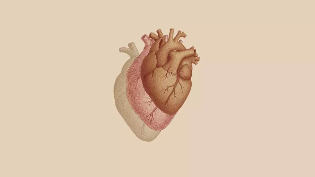 Scompenso cardiaco, nasce il gruppo di lavoro per la diagnosi precoce - 