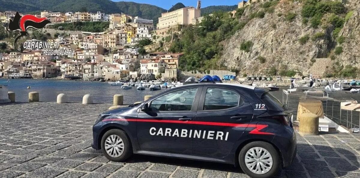 Blitz dei Carabinieri nei lidi del Reggino, multe e sequestri - 