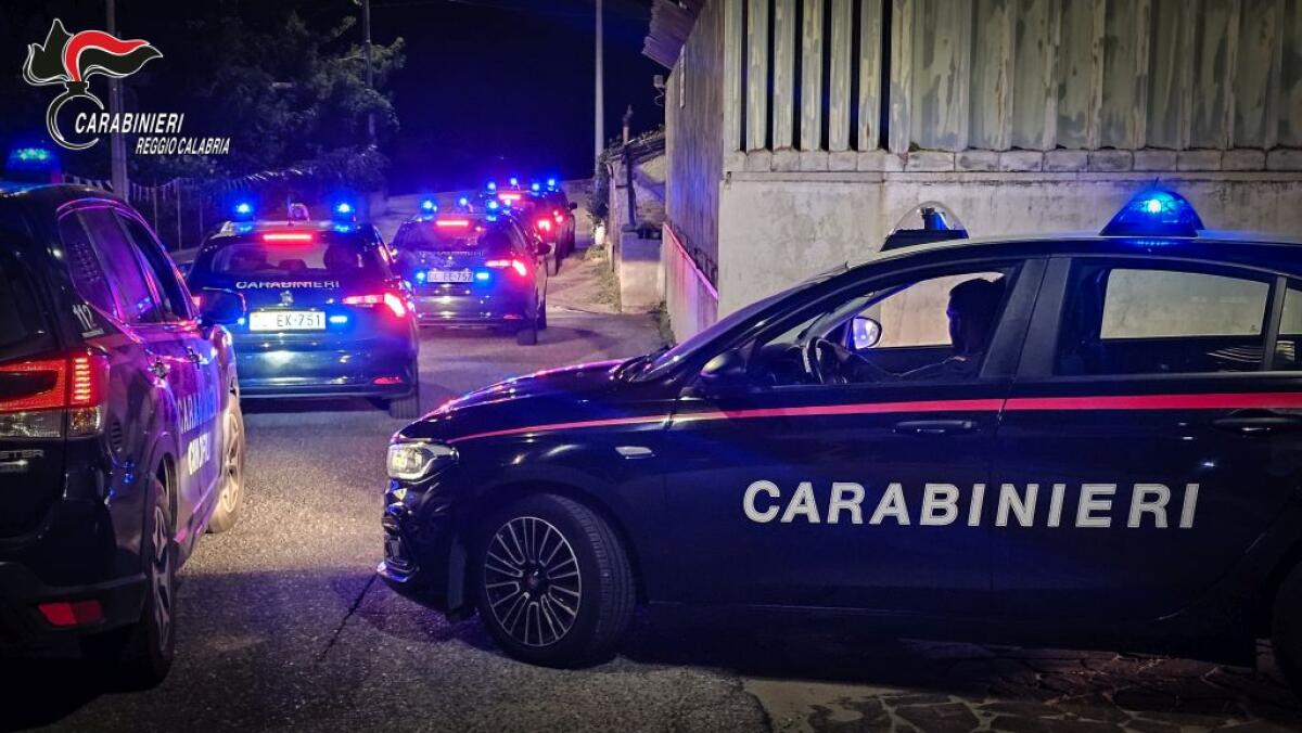 ‘Ndrangheta, appalti pubblici nel mirino della Locride: quattro arresti - 