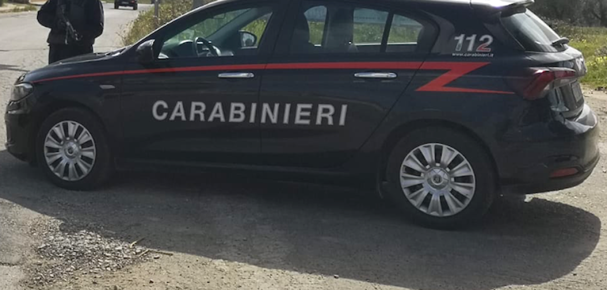 Cotronei, blitz dei Carabinieri in un’azienda agricola: denunciato imprenditore -