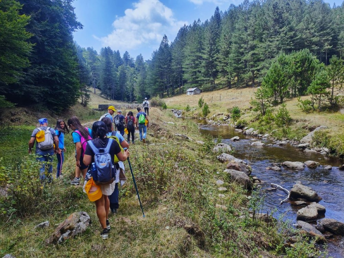 Sila da vivere: escursioni, alberi secolari e cielo stellato nell’Agosto Petilino - 