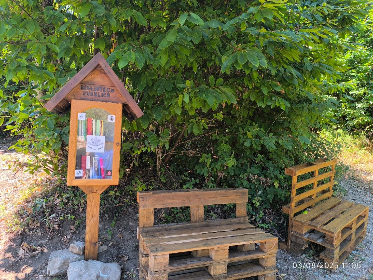 Cosenza – Libri tra gli alberi: la 20ª Free Library inaugurata nel Sentiero degli Espulsi - 