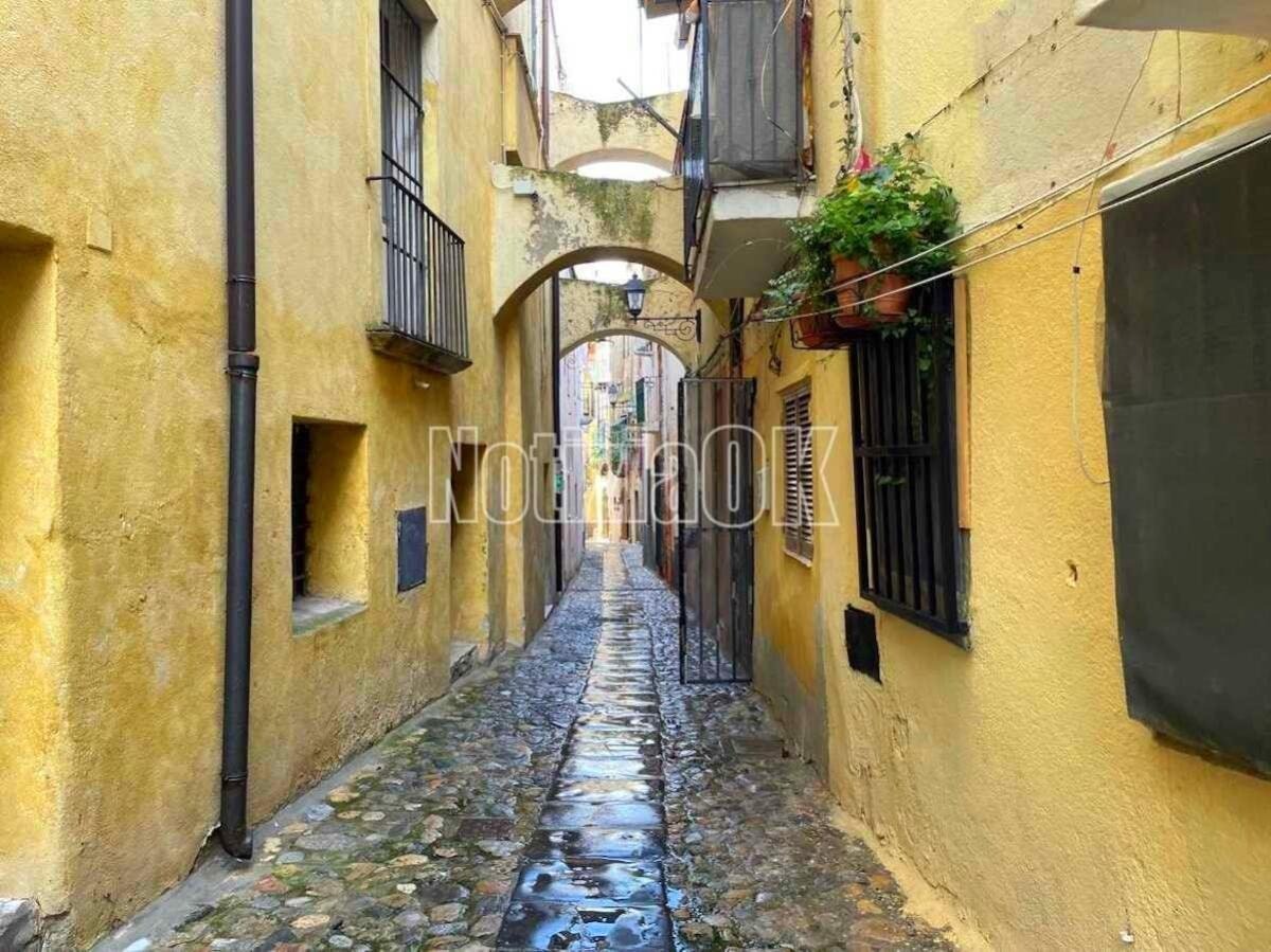 West Nile, il Comitato del Centro Storico sollecita disinfestazione urgente a Crotone - 