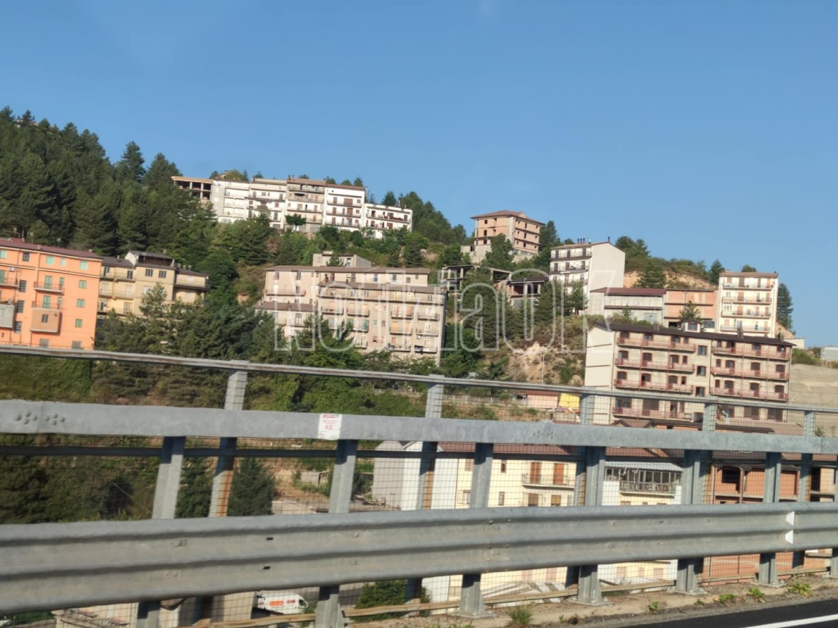 Ritorna la Fiera di San Giovanni in Fiore: un appuntamento storico per la Sila - 