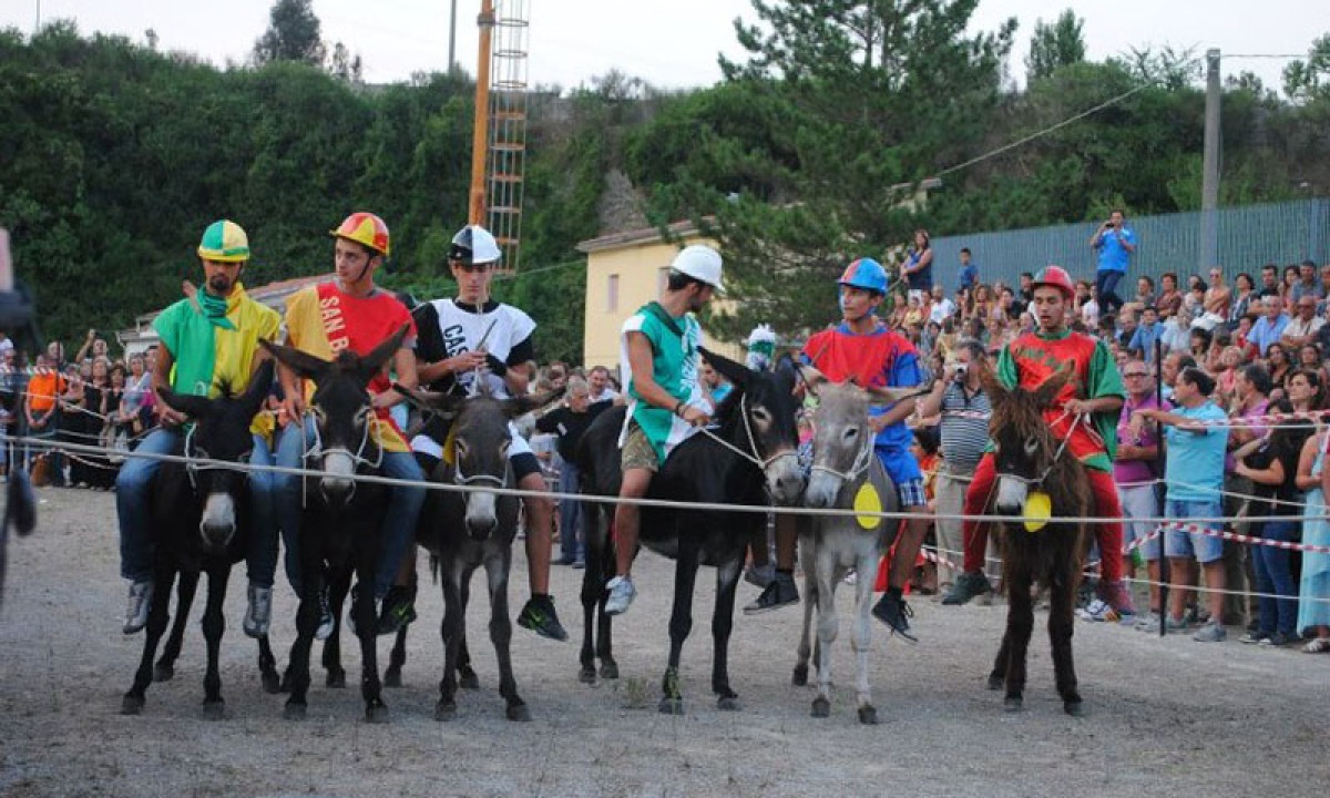 Laino Borgo, inizia la tre giorno con il palio cu i ciucci - 