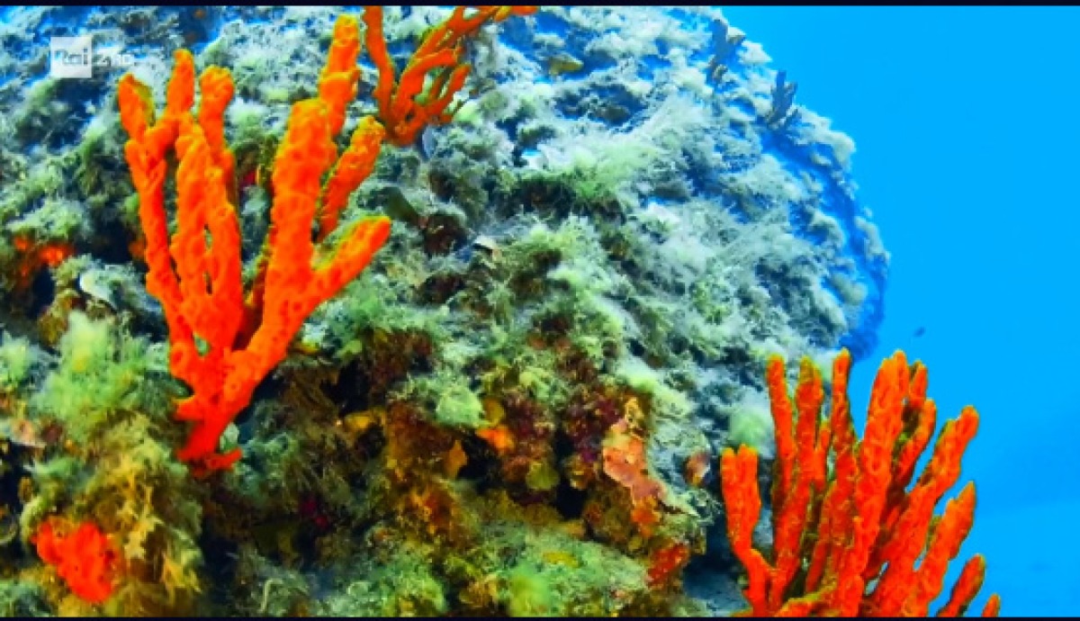 Turismo responsabile e alta tecnologia: al via il monitoraggio con droni sull’Isola di Dino -