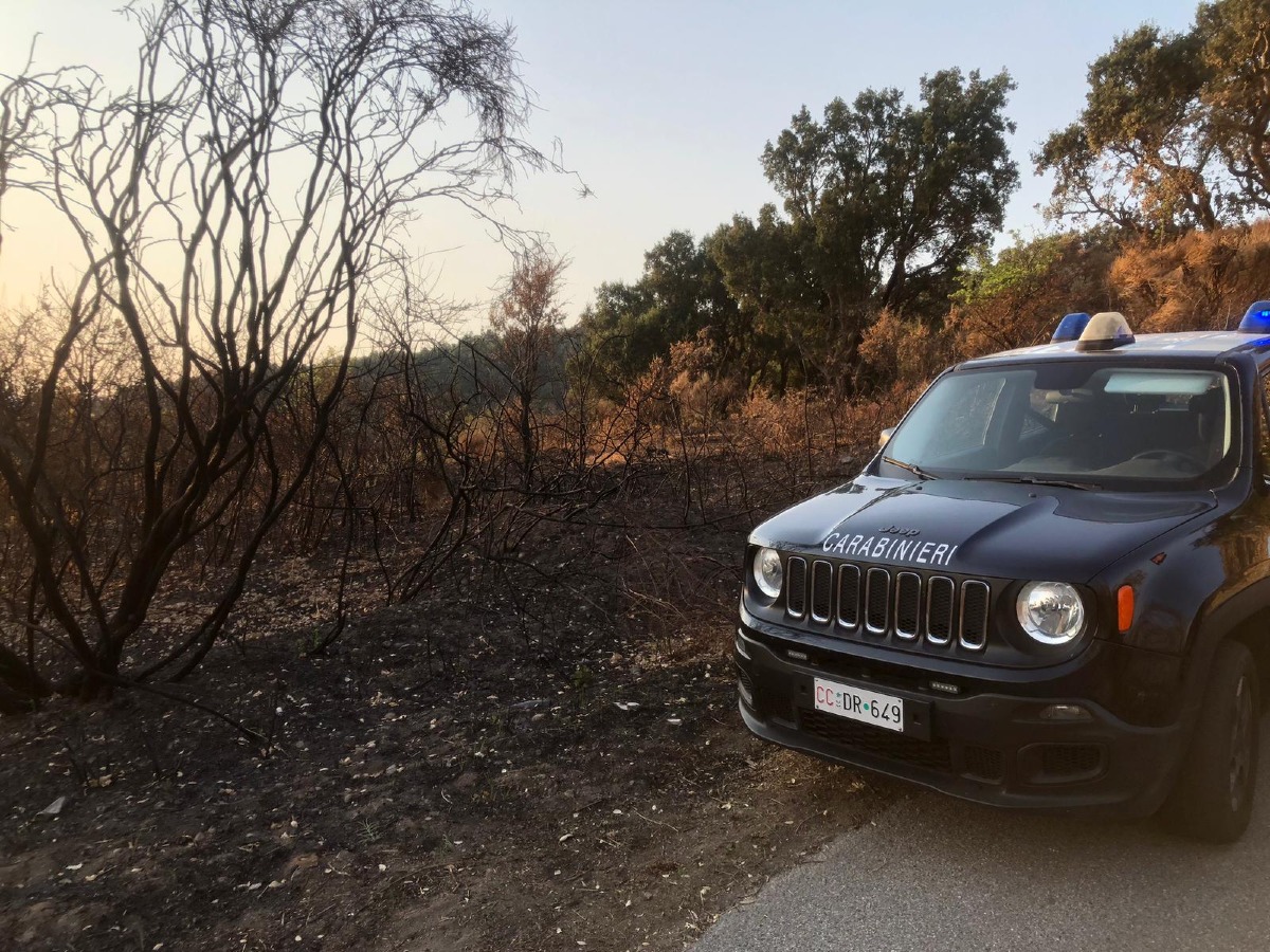 Arrestato 80enne per incendio boschivo a Gimigliano - 