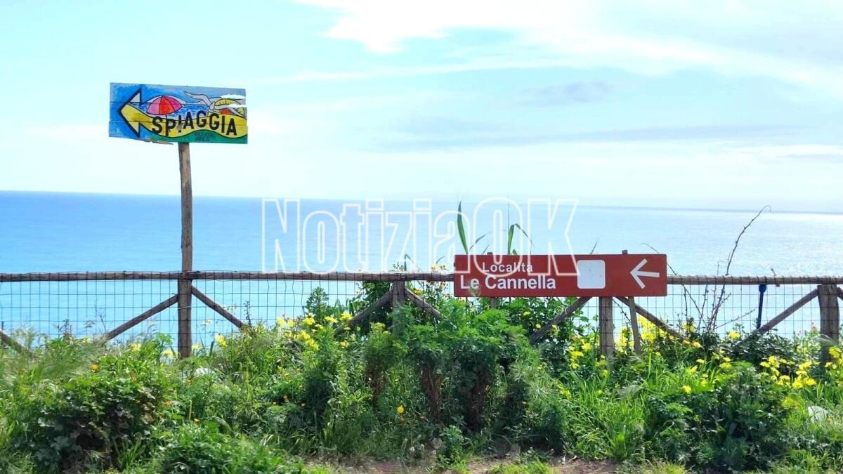 Coordinamento Provinciale di Forza Italia Giovani Crotone: "Profondo dolore e sgomento per la tragica e prematura scomparsa di Filippo" -