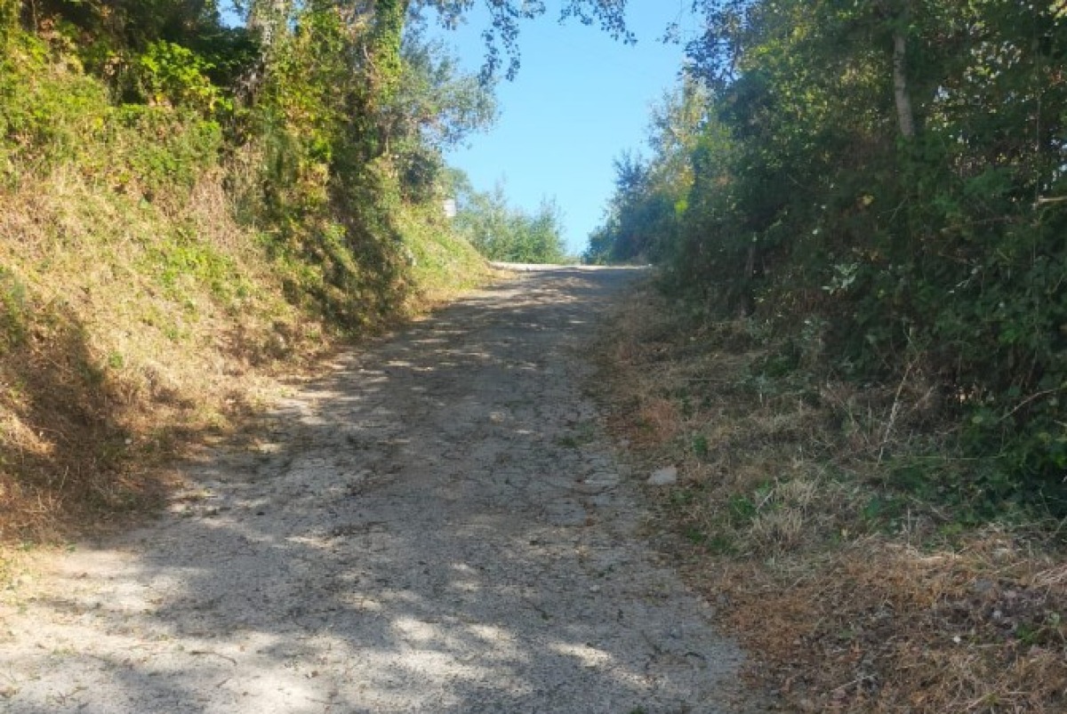 Verzino, 150mila euro per il miglioramento delle Strade Rurali - 