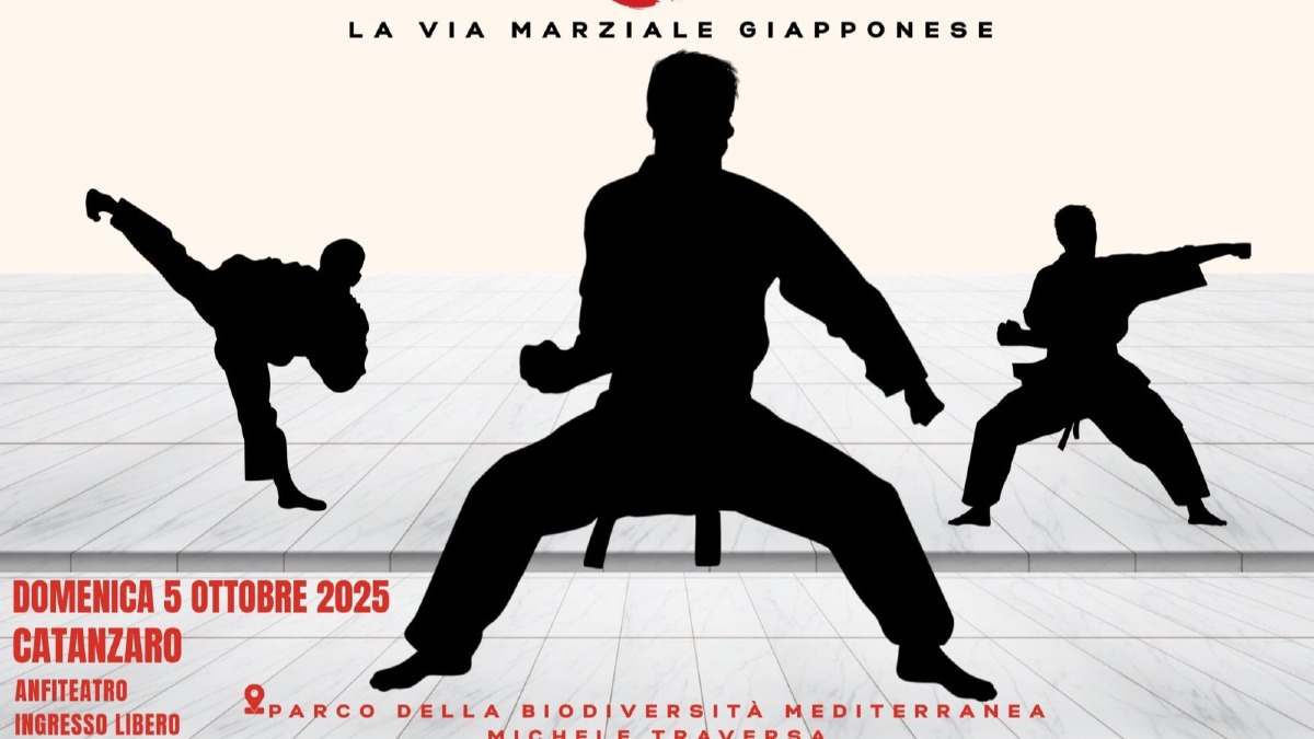 Catanzaro - Al via il 1° Festival delle Arti Marziali -