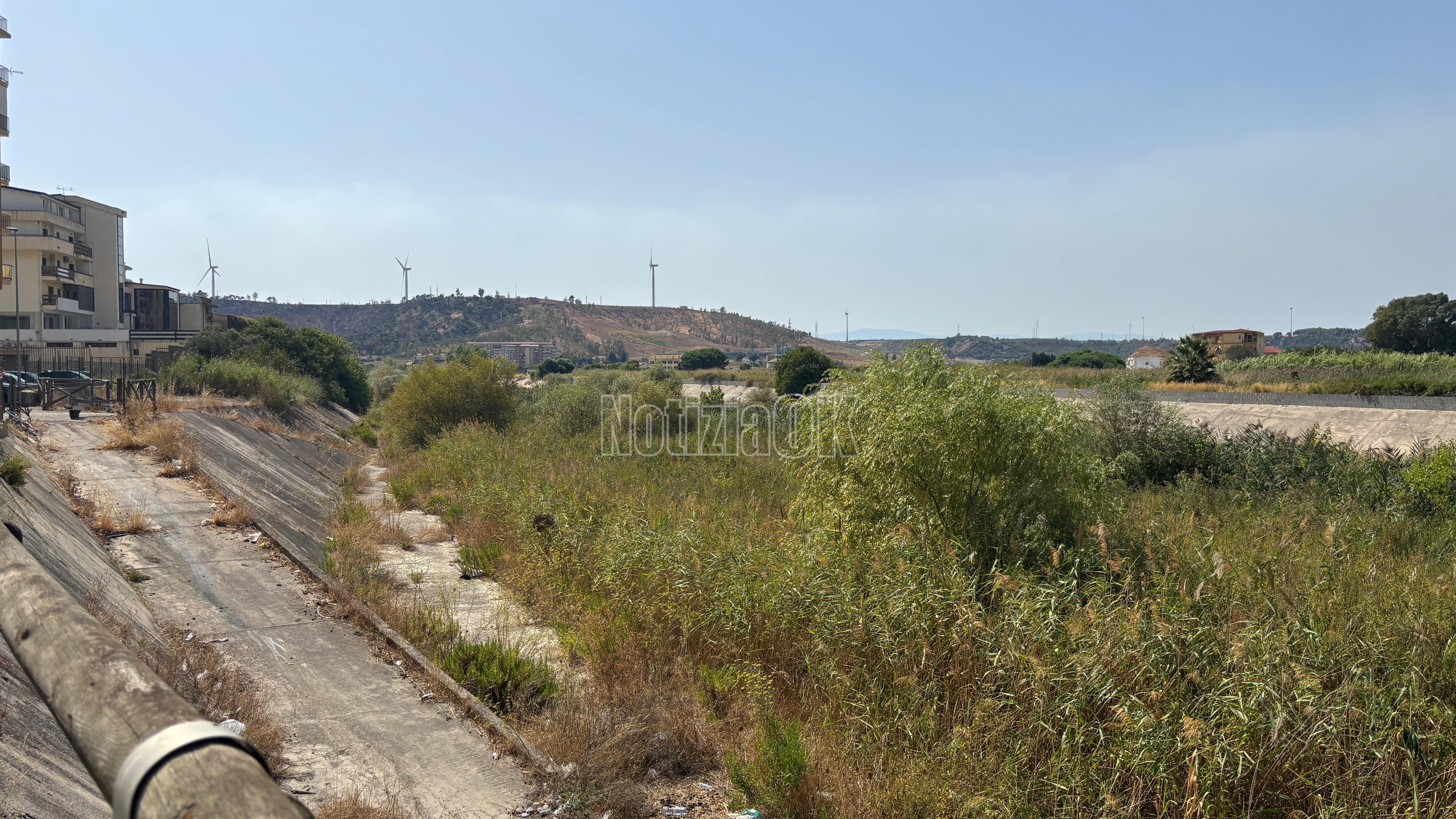 Crotone – Il fiume Esaro soffocato dalle erbacce -