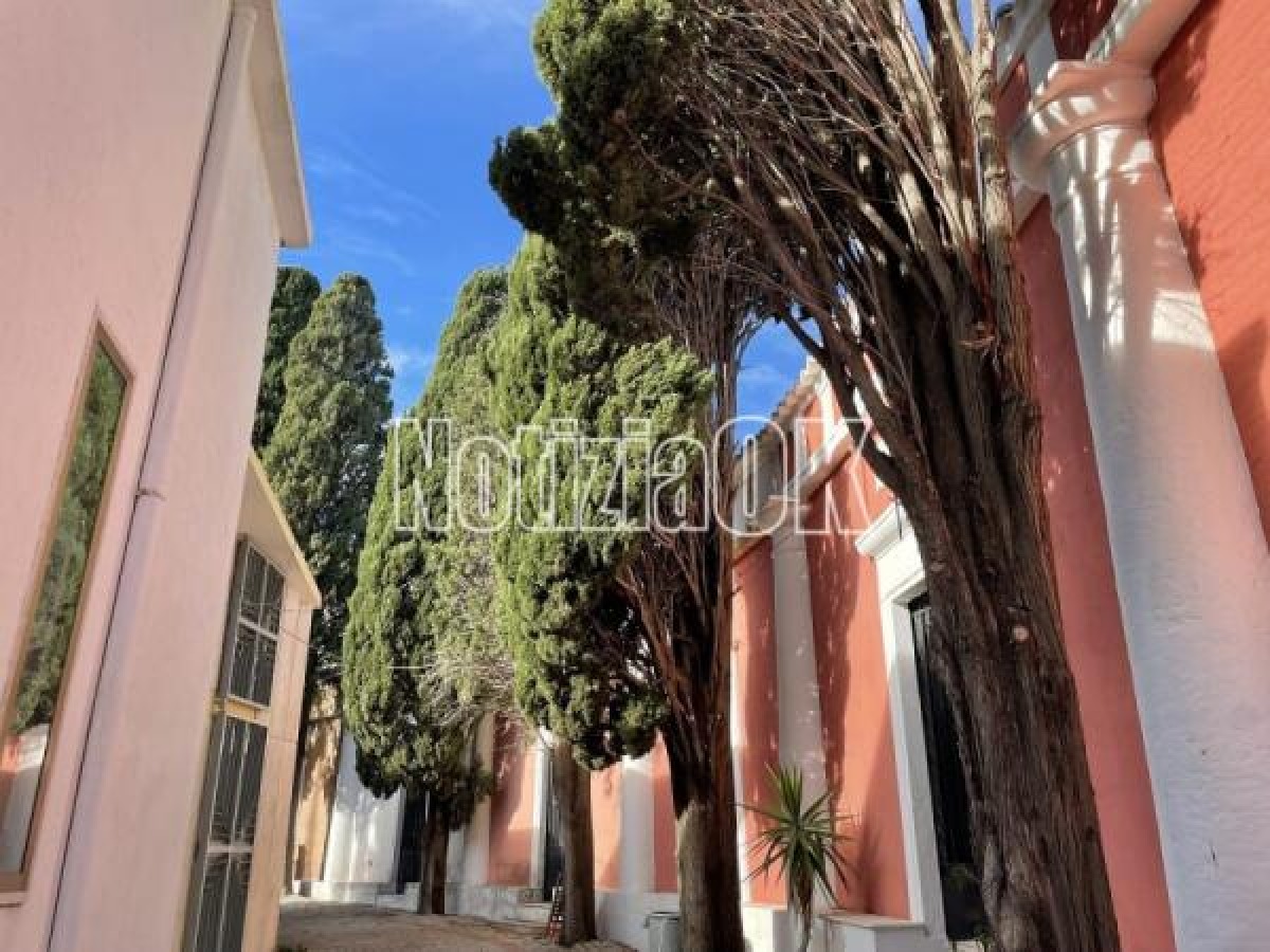Santa Maria del Cedro, bando di gara per la concessione della ristrutturazione e gestione del cimitero comunale -