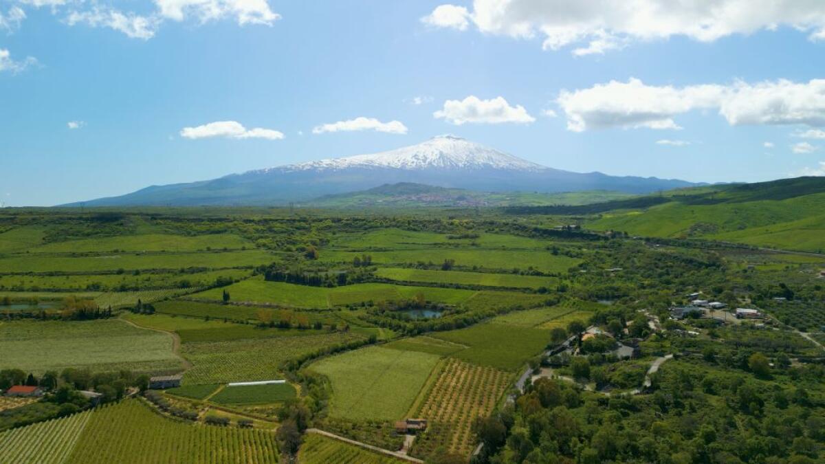 GAL Etna, natura viva alle pendici del vulcano tra sentieri e crateri - 