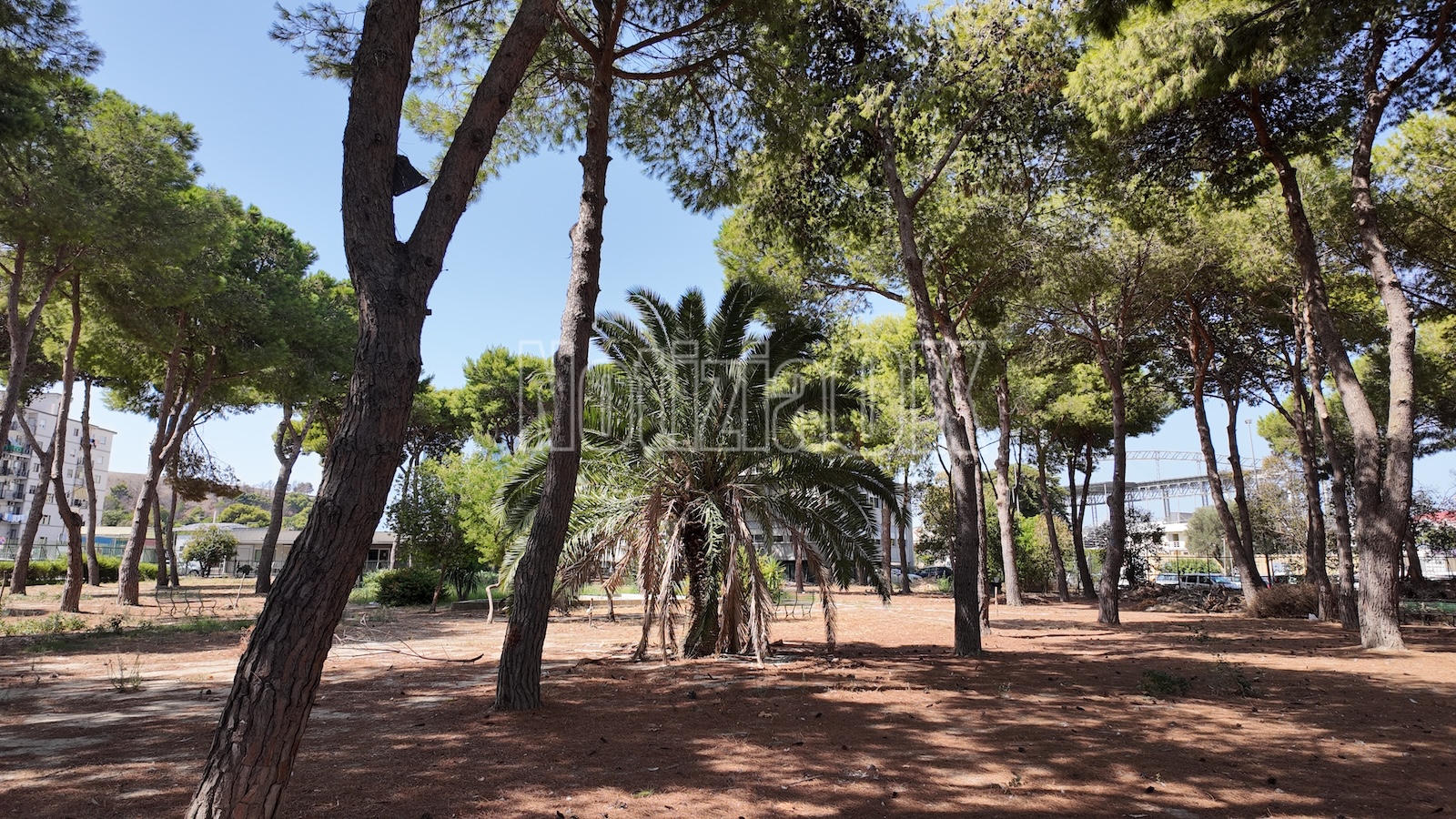 Parco Zanotti Bianco redazione