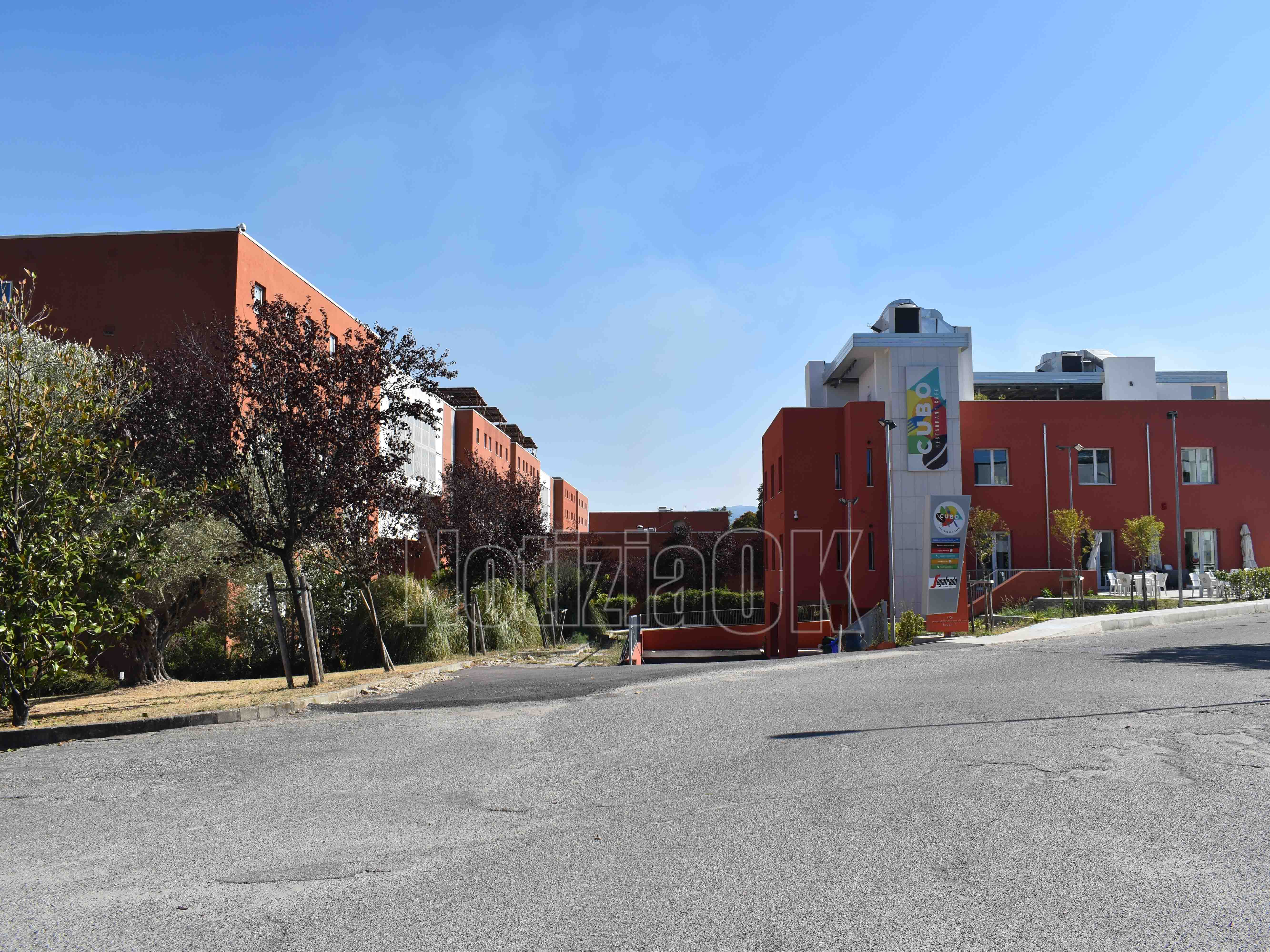 Università e nuove tecnologia: sfide etiche e modelli innovativi per non restare indietro - 