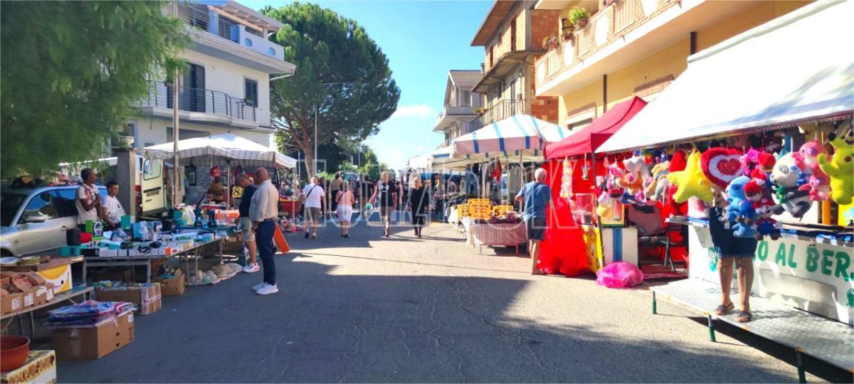 (Video) Roccabernarda, l'Antica Fiera di Mulerà: fascino e tradizione rivivono in uno degli eventi storici del territorio - 