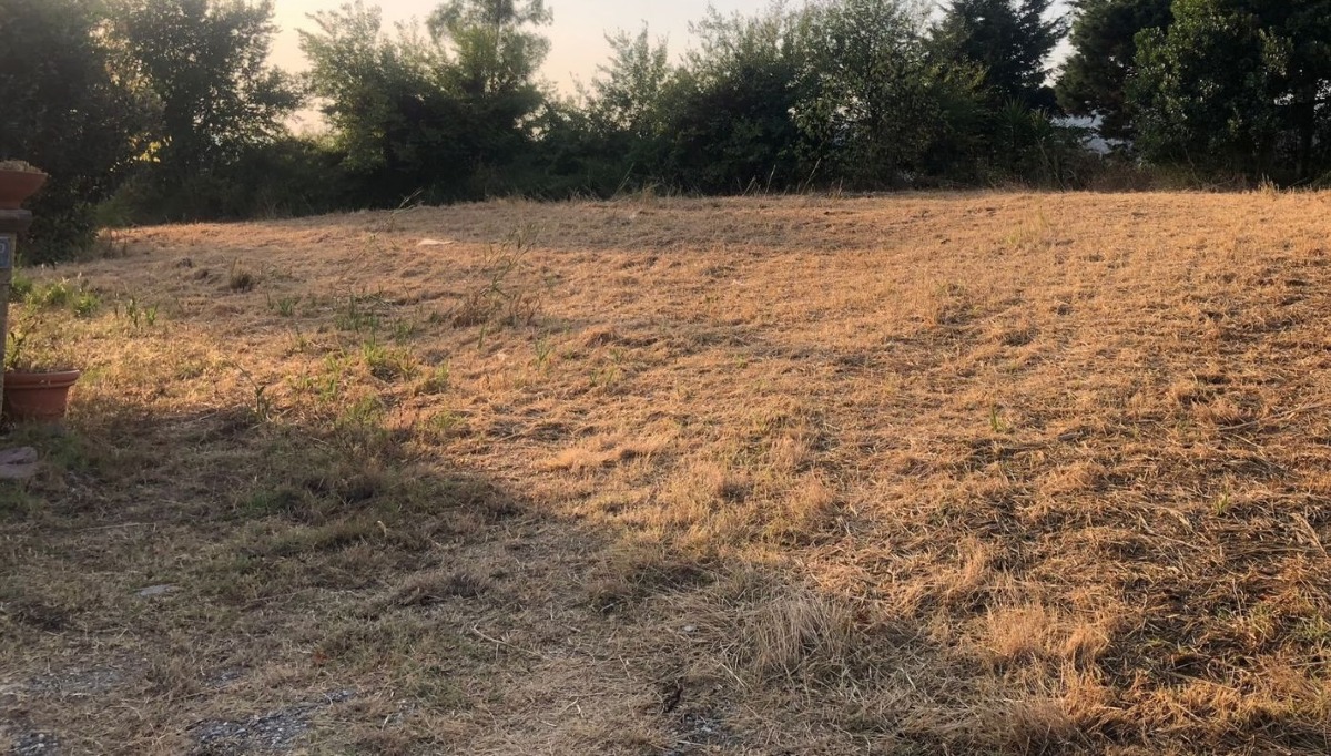 Marcellinara punta sull’usucapione: il Comune vuole trasformare un terreno in spazio per i cittadini -
