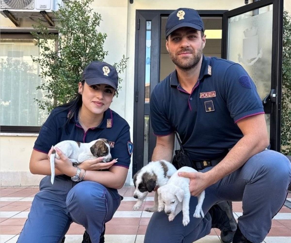 Crotone, gli agenti della Polizia di Stato salvano alcuni cuccioli abbandonati -