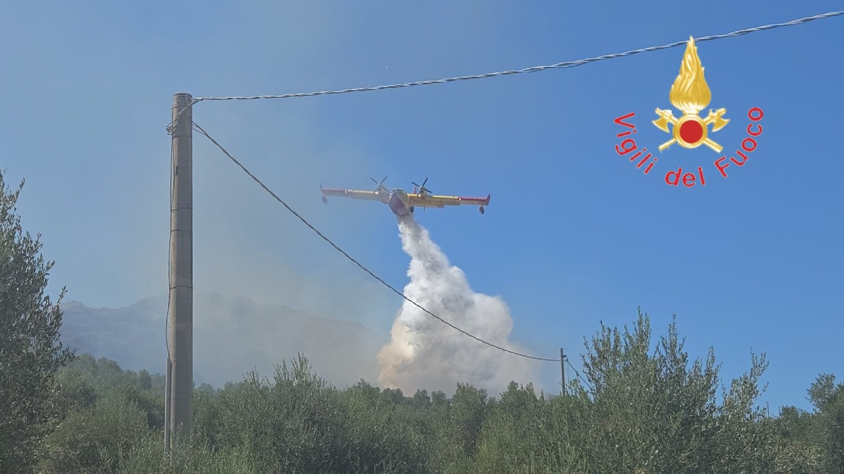 (VIDEO) Borgia: incendio boschivo in località Cutruzzo, Vigili del Fuoco al lavoro - 