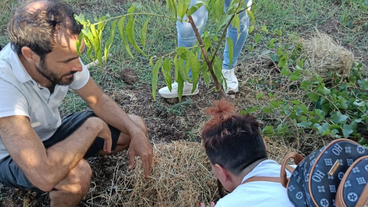 GAL “Serre Calabresi”: la forza rigenerativa della permacultura. Tre laboratori sperimentali a Maida - 