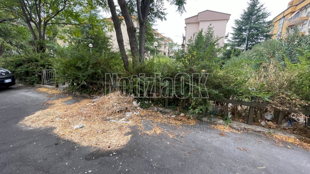 Nei quartieri di Crotone - Giardino dimenticato tra via Repaci e via De Martino -