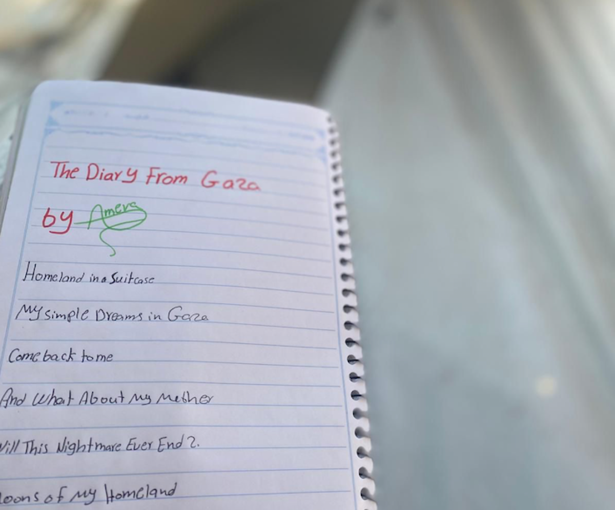 "Il Diario da Gaza", il crotonese Fabio Carbone porta al mondo la voce di una giovane studentessa sotto le bombe - 