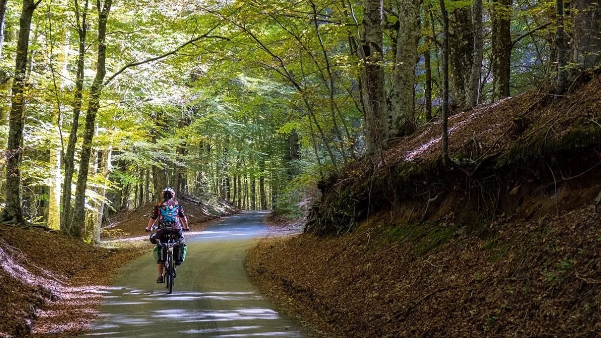 Calabria - Tre giorni di pedalate per promuovere benessere e prevenzione nei parchi della regione - 