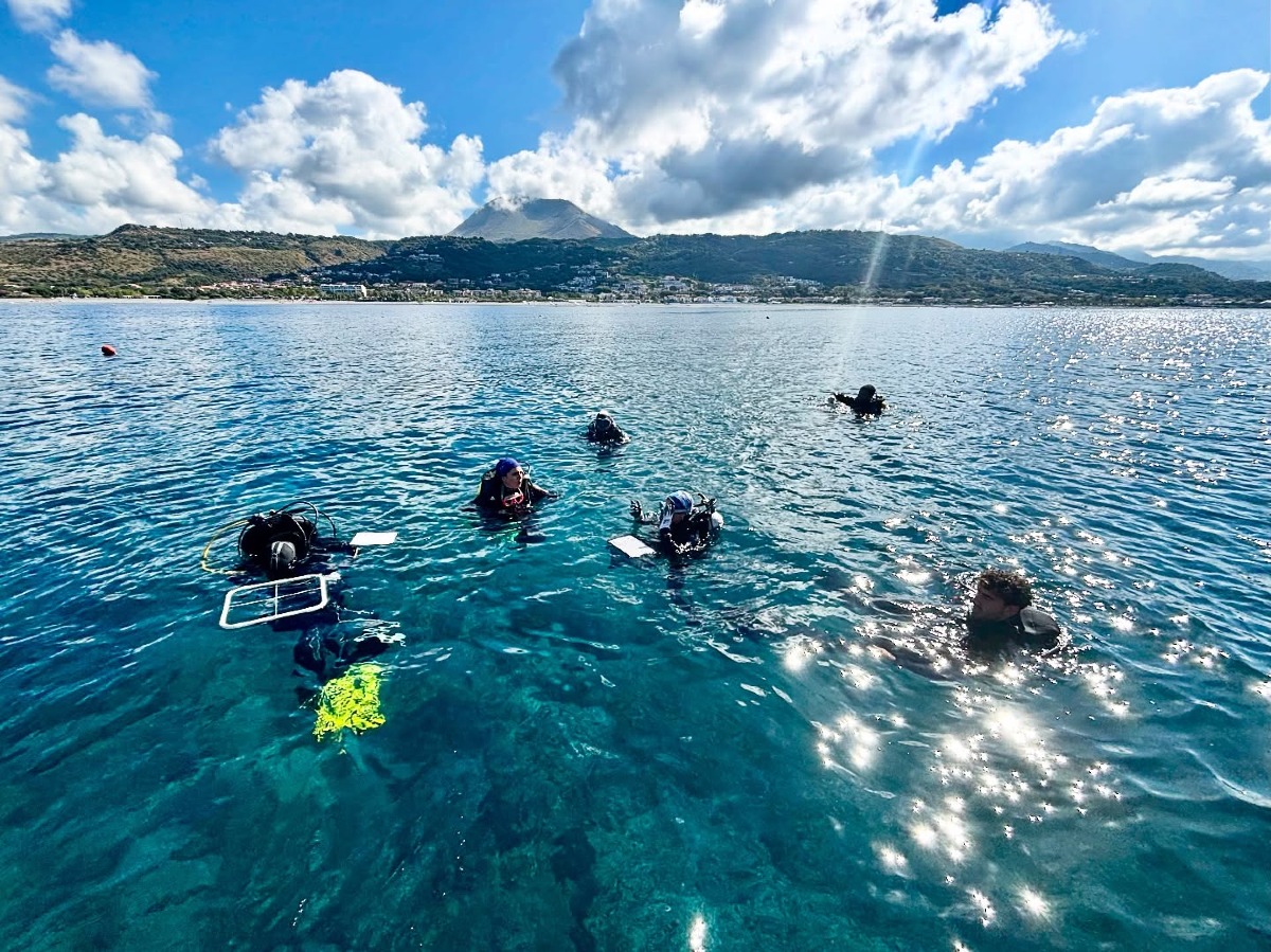 Diamante, iniziata la Summer School: appuntamento dedicato allo studio della Posidonia - 