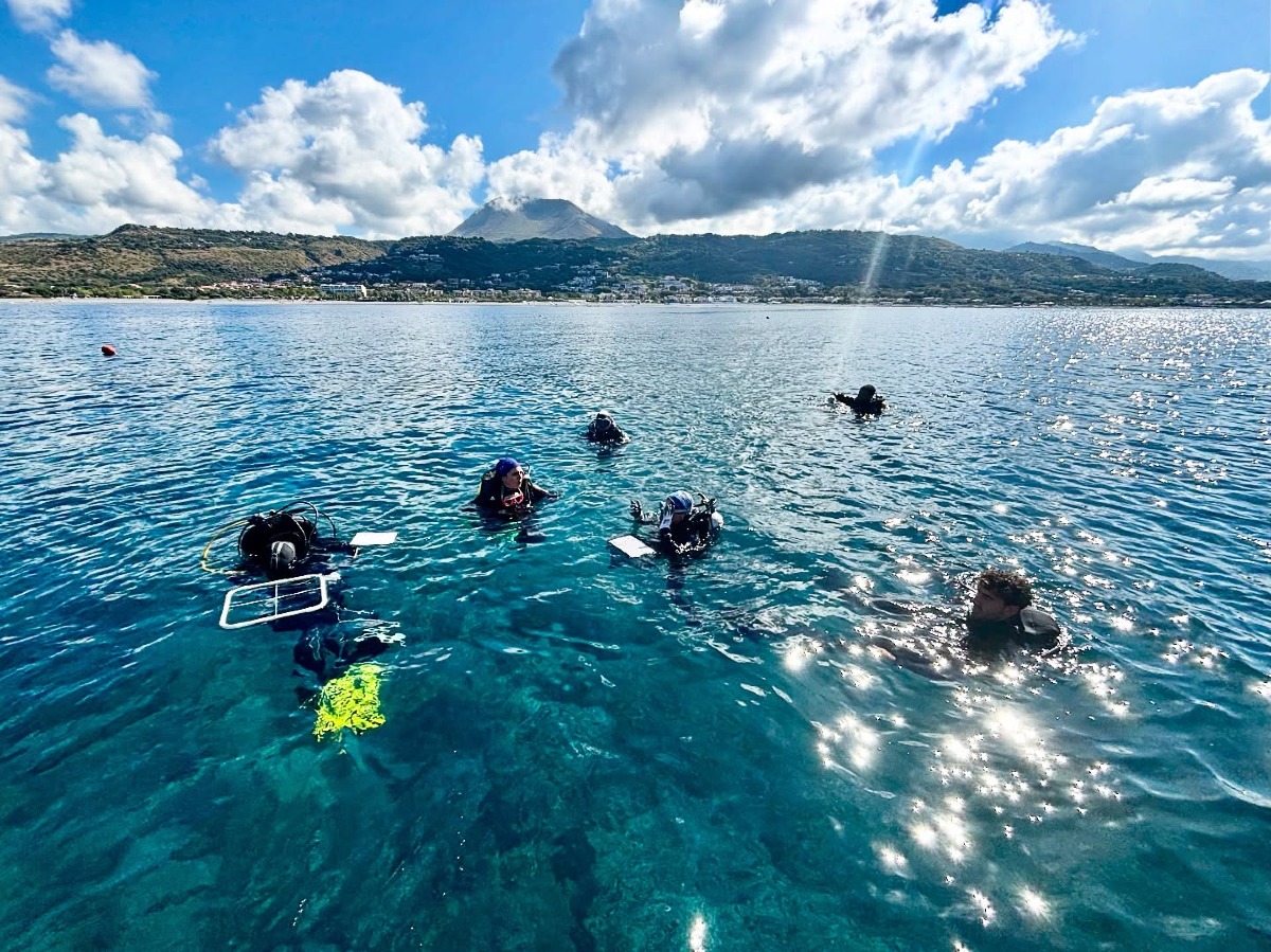 Summer School di Posidonia oceanica: a Diamante giovani ricercatori nei fondali dell’Isola di Cirella -